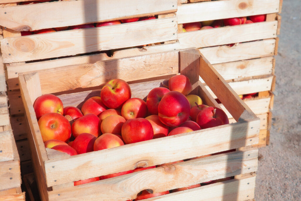 Apples-in-Crate_MKN