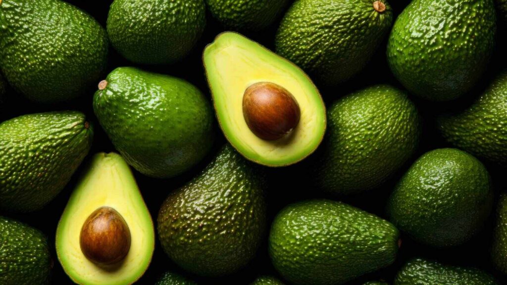 avocado-1