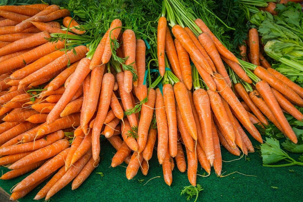 Fuits to improve eyesight carrot, turnip, vegetables, yellow beets, soup greens, vegan, market fresh vegetables, vegetable plants, bio, carrot, carrot, carrot, carrot, carrot