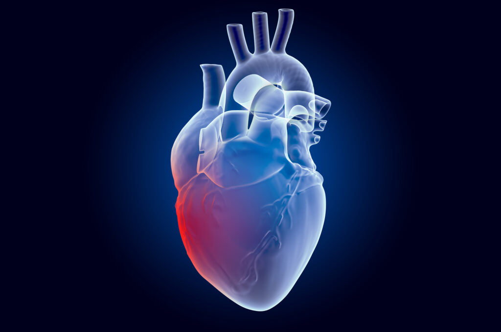 Maintaining a healthy heart is essential for overall well-being and longevity. With heart disease being one of the leading causes of death worldwide, adopting heart-healthy habits is more important than ever How to keep your heart healthy