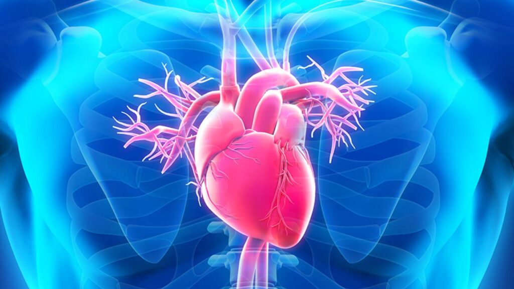 Maintaining a healthy heart is essential for overall well-being and longevity. With heart disease being one of the leading causes of death worldwide, adopting heart-healthy habits is more important than ever How to keep your heart healthy