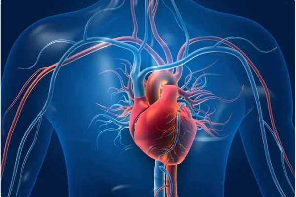 How to keep your heart healthy