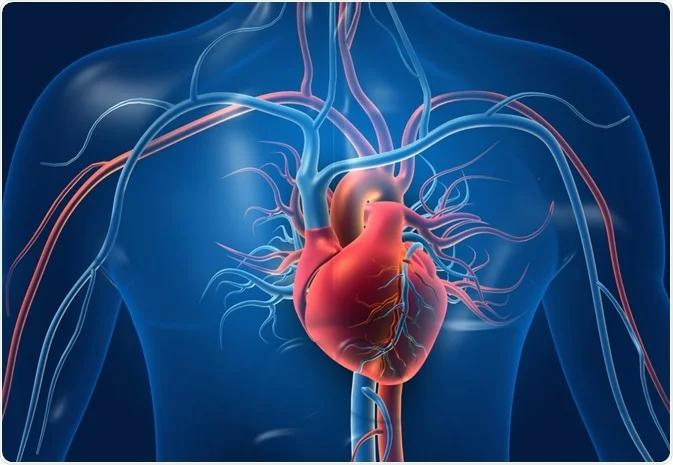 How to keep your heart healthy