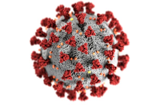 Detailed 3D representation of the coronavirus structure highlighting spike proteins.