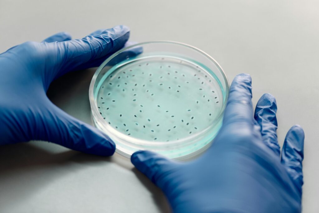 pexels-photo-4031370-4031370 Gloved hands handling a filled petri dish, ideal for microbiology research visuals.